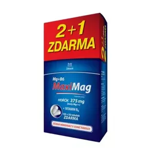 Zdrovit MaxiMag Hořčík 375 mg B6 150 ks