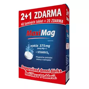 MaxiMag Hořčík+B6 šumivé tablet. 3 x 20 tablet