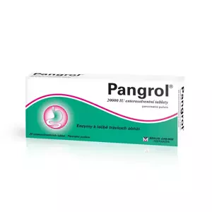 Pangrol 20000 por.tbl.ent.20 II
